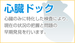 心臓ドック　心臓のみに特化した検査により、現在の状況の把握と問題の早期発見を行います。